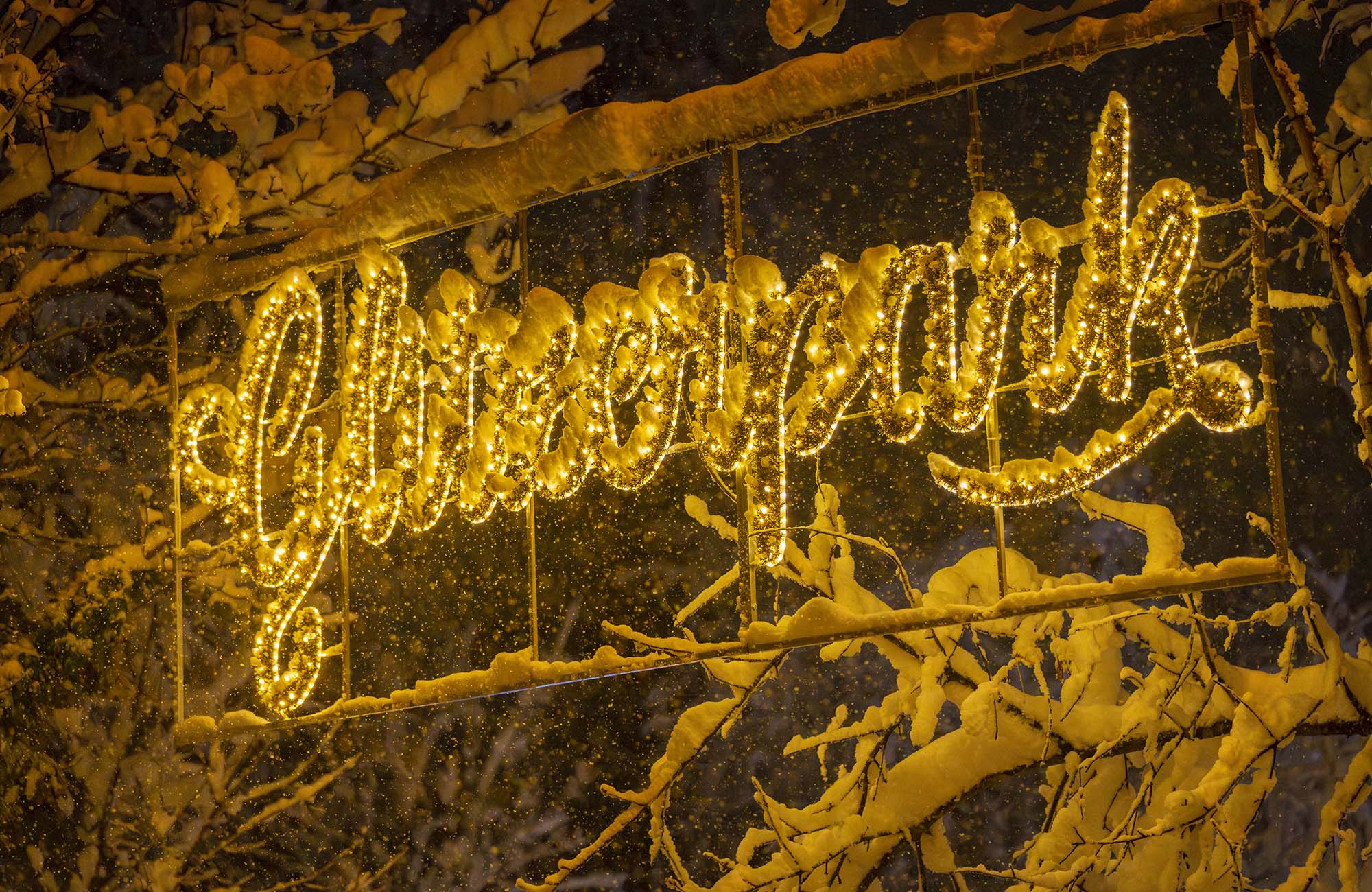 15-12-2023_09h32mn46_Glitzerschnee-1